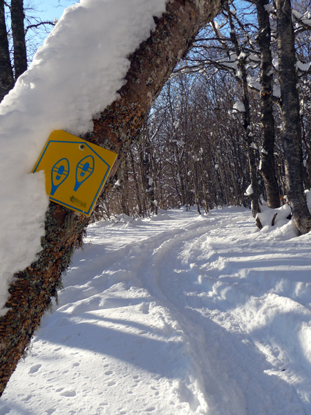 Les pistes raquettes sont balises et traces.