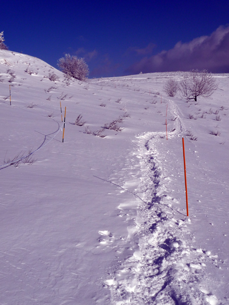 Quel plqisir de faire les premires traces de raquettes dans la neige frache